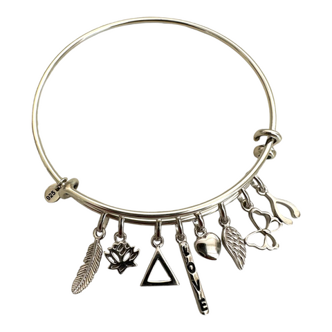 Elysian Charm Bangle & Charms Set - BALANCE & RESILIENCE - 11pc