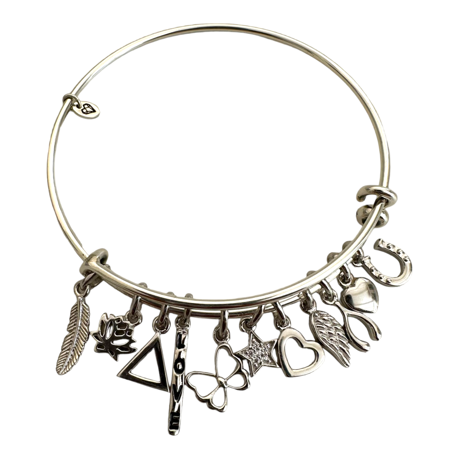 Elysian Charm Bangle & Charms - FULL SET - 14pc